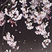 Reiko Yamazaki Gallery